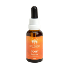 ABFE Boost 30ml Drops