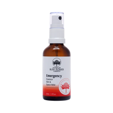 ABFE Emergency Mist 50ml