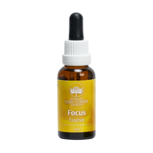 ABFE Focus 30ml Drops