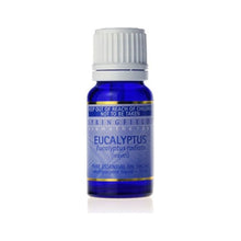 Springfields Essential Oil Eucalyptus 11ml