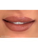 InClinic Velvet Crème Mineral Lipstick Matchmaker