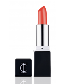 InClinic Velvet Crème Mineral Lipstick Stay Wild