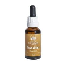ABFE Transition Essence 30ML