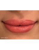 inClinic Velvet Crème Mineral Lipstick VIPs Only