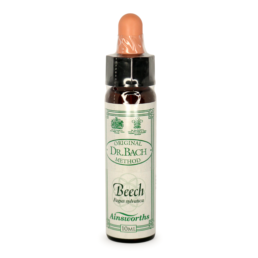 Ainsworths Beech Bach Flower Essence 10ml stock bottle