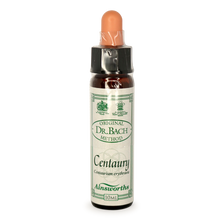 Ainsworths Centaury Bach Flower Essence 10ml stock bottle