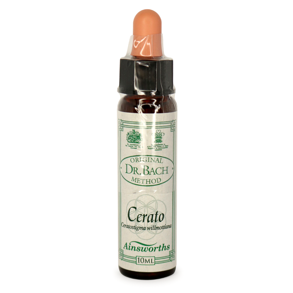 Ainsworths Cerato Bach Flower Essence 10ml stock bottle