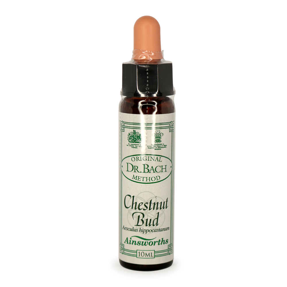 Ainsworths Chestnut Bud Bach Flower Essence 10ml stock bottle