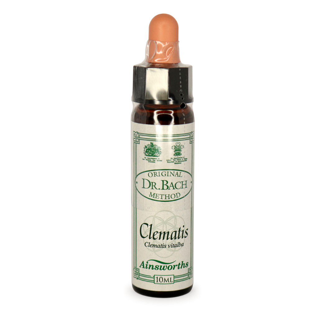 Ainsworths Clematis Bach Flower Essence 10ml stock bottle
