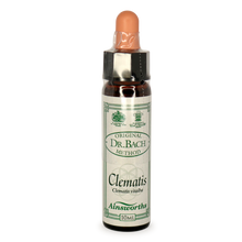 Ainsworths Clematis Bach Flower Essence 10ml stock bottle
