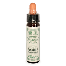 Ainsworths Gentian Bach Flower Essence 10ml stock bottle