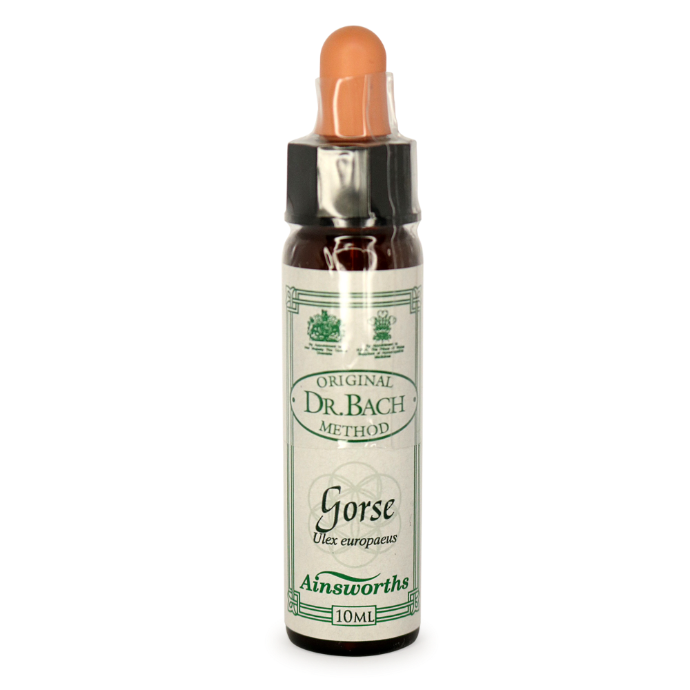 Ainsworths Gorse Bach Flower Essence 10ml stock bottle