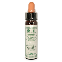 Ainsworths Heather Bach Flower Essence 10ml stock bottle