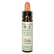 Ainsworths Holly Bach Flower Essence 10ml stock bottle