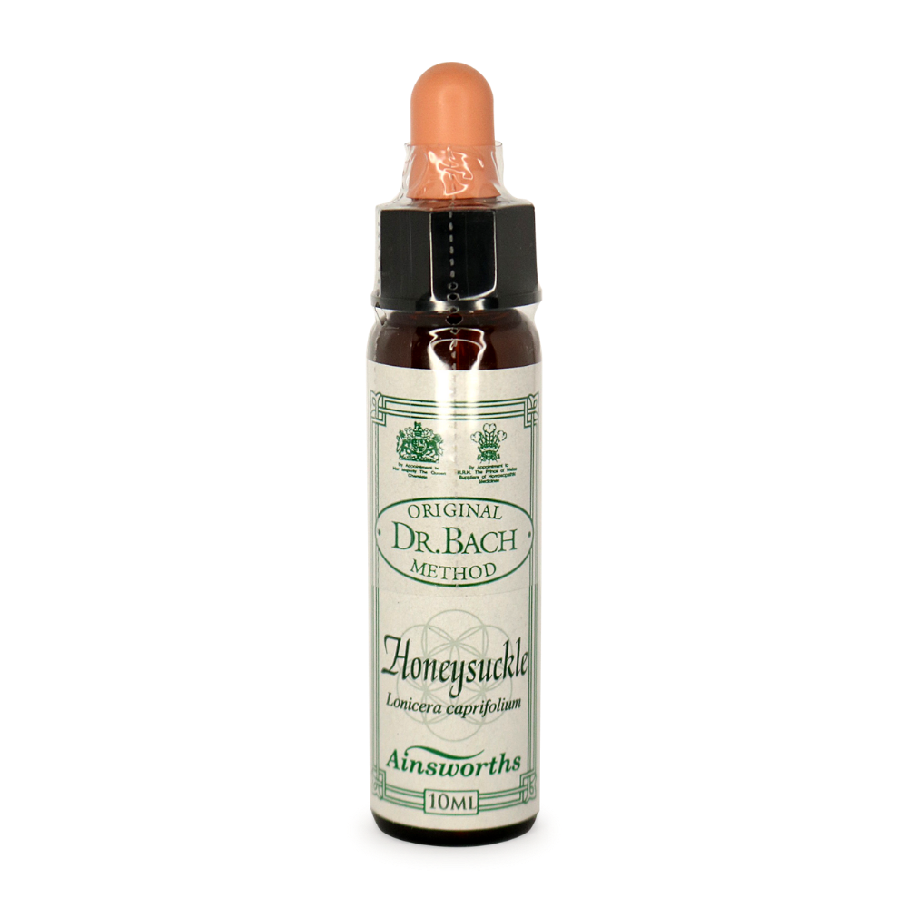 Ainsworths Honeysuckle Bach Flower Essence 10ml stock bottle