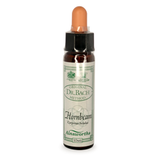Ainsworths Hornbeam Bach Flower Essence 10ml stock bottle