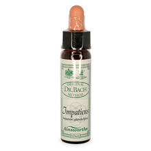 Ainsworths Impatiens Bach Flower Essence 10ml stock bottle