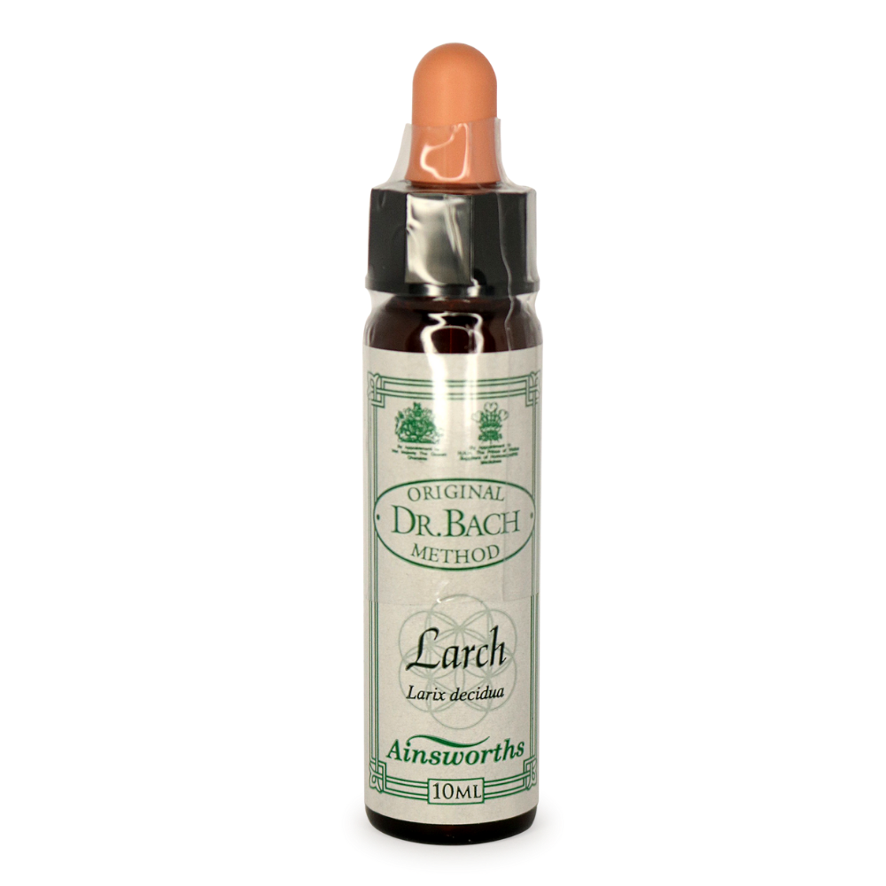 Ainsworths Larch Bach Flower Essence 10ml stock bottle