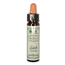 Ainsworths Larch Bach Flower Essence 10ml stock bottle