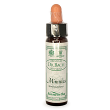 Ainsworths Mimulus Bach Flower Essence 10ml stock bottle
