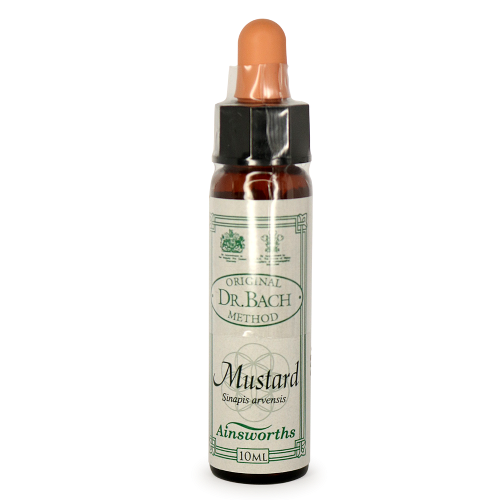 Ainsworths Mustard Bach Flower Essence 10ml stock bottle