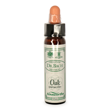 Ainsworths Oak Bach Flower Essence 10ml stock bottle