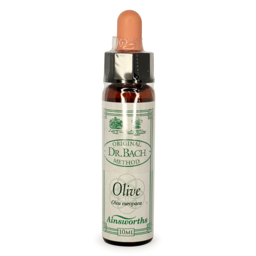 Ainsworths Olive Bach Flower Essence 10ml stock bottle