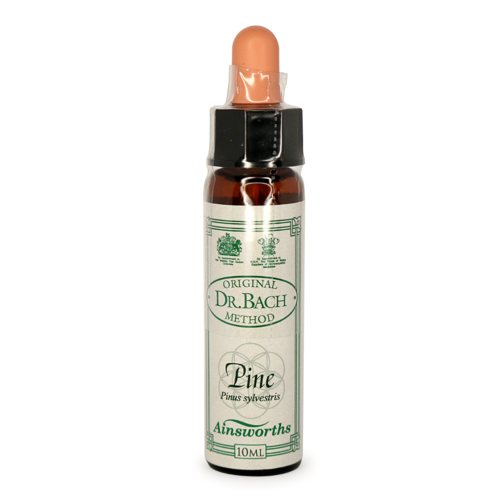Ainsworths Pine Bach Flower Essence 10ml stock bottle