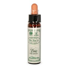Ainsworths Pine Bach Flower Essence 10ml stock bottle