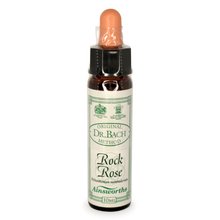 Ainsworths Rock Rose Bach Flower Essence 10ml stock bottle