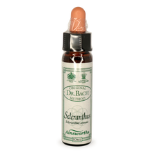 Ainsworths Scleranthus Bach Flower Essence 10ml stock bottle