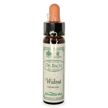 Ainsworths Walnut Bach Flower Essence 10ml