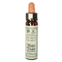 Ainsworths Water Violet Bach Flower Essence 10ml stock bottle