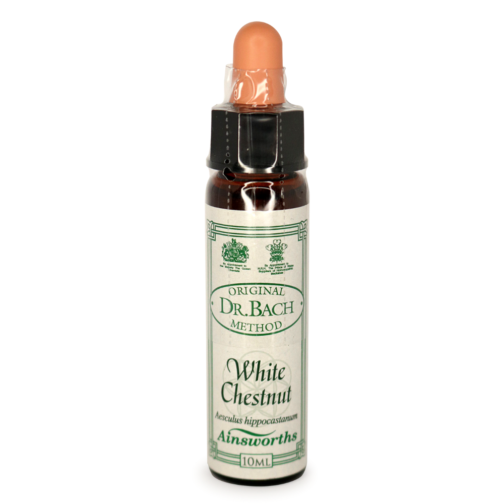 Ainsworths White Chestnut Bach Flower Essence 10ml stock bottle