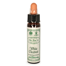 Ainsworths White Chestnut Bach Flower Essence 10ml stock bottle
