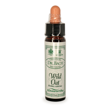 Ainsworths Wild Oat Bach Flower Essence 10ml stock bottle