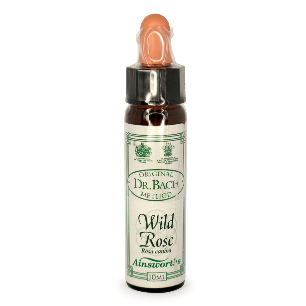 Ainsworths Wild Rose Bach Flower Essence 10ml stock bottle