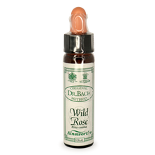 Ainsworths Wild Rose Bach Flower Essence 10ml stock bottle
