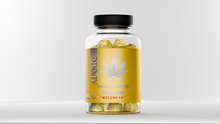 Apollo Hemp Seed Oil Gummies Pineapple 60
